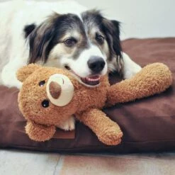 Petlando Moodles Bear -Trixie Dog Supply Sale 106623 petlando moodles bar hs 04 7