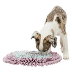 Trixie Junior Sniff And Search Mat -Trixie Dog Supply Sale 122207 pla trixie junior schnueffelteppich 38cm hs 06 5