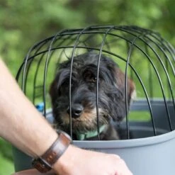 Trixie Friends On Tour Bicycle Basket For Luggage Rack -Trixie Dog Supply Sale 122212 trixie friendsontour fahrradkorb gepaecktraeger hs 15 1