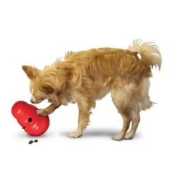 KONG Wobbler Dog Toy -Trixie Dog Supply Sale 1355067777031411080314 3