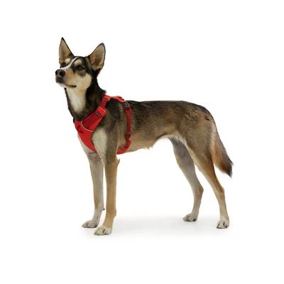 Ruffwear Front Range Dog Harness - Image 5