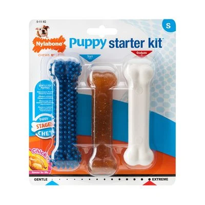 Nylabone Puppy Dog Chew Starter Kit 6 Nylabone Puppy Dog Chew Starter Kit - Image 4