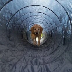 Trixie Agility Tunnel 7 Trixie Agility Tunnel -Trixie Dog Supply Sale 15686 trixie agility tunnel fg 16 7