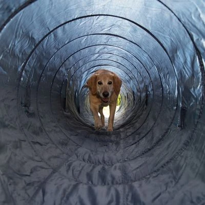 Trixie Agility Tunnel 5 Trixie Agility Tunnel - Image 3