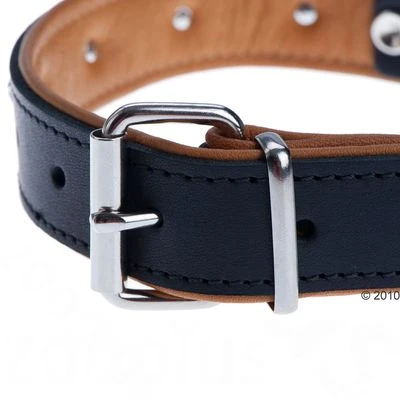 Heim Leather Lead & Collar Set - Stars 7 Heim Leather Lead & Collar Set - Stars - Image 5