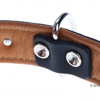 Heim Leather Lead & Collar Set - Stars 9 Heim Leather Lead & Collar Set - Stars - Image 7