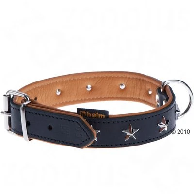 Heim Leather Lead & Collar Set - Stars 8 Heim Leather Lead & Collar Set - Stars - Image 6