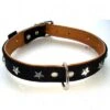 Heim Leather Dog Collar - Stars -Trixie Dog Supply Sale 160891 heim halsband stars neu 1