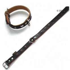 Heim Leather Dog Collar - Stars -Trixie Dog Supply Sale 160891 heim lederhalsband stars1 1