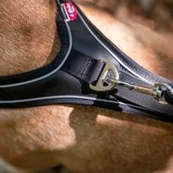 Curli Belka Comfort Harness - Black -Trixie Dog Supply Sale 176034 curli belka comfort geschirr schwarz hs 10 7