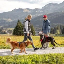 Curli Belka Comfort Harness - Black -Trixie Dog Supply Sale 176034 curli belka comfort geschirr schwarz hs 12 7