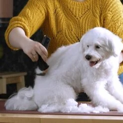 Moser Arco Pro Clippers -Trixie Dog Supply Sale 181496 wahl moser schermaschinemoser arcopro hs 05 3