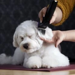 Moser Arco Pro Clippers -Trixie Dog Supply Sale 181496 wahl moser schermaschinemoser arcopro hs 07 8