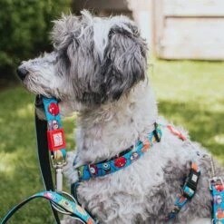 Max & Molly Little Monsters H-Harness -Trixie Dog Supply Sale 186583 186584 189797 maxnmolly hg eschirr littlemonsters hs 01 7