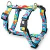 Max & Molly Little Monsters H-Harness -Trixie Dog Supply Sale 186583 186584 189797 maxnmolly hg eschirr littlemonsters hs 02 2