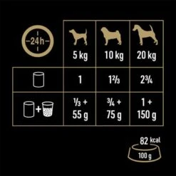 Cesar Natural Goodness 13 Cesar Natural Goodness -Trixie Dog Supply Sale 186696 cesar hundnassfuter natural goodness reich rind hs 08 6