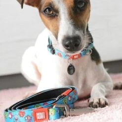 Max & Molly Little Monsters Short Lead -Trixie Dog Supply Sale 189596 maxnmolly kurzleine little monsters dog hs 02 6