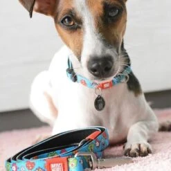 Max & Molly Little Monsters Multifunctional Lead -Trixie Dog Supply Sale 189696 186582 189796 maxnmolly multifunktionsleine littlemonsters dog hs 05 0