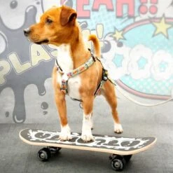 Max & Molly Comic Print H-Harness -Trixie Dog Supply Sale 189999 186590 190000 maxnmolly h geschirr comic hs 03 8