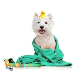 Max & Molly Ducklings Multifunctional Lead 11 Max & Molly Ducklings Multifunctional Lead -Trixie Dog Supply Sale 190096 maxnmolly kurzleine ducklings hs 02 1 1