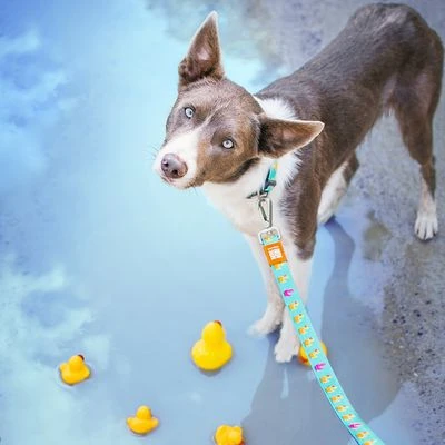 Max & Molly Ducklings Multifunctional Lead 4 Max & Molly Ducklings Multifunctional Lead - Image 2