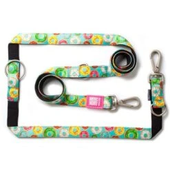 Max & Molly Multifunctional Donut Print Lead