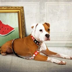 Max & Molly Watermelon Multifunctional Lead -Trixie Dog Supply Sale 190411 190702 190412 maxmolly multifunktionsleine watermelon hs 02 3