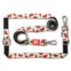 Max & Molly Watermelon Multifunctional Lead