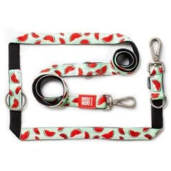 Max & Molly Watermelon Multifunctional Lead