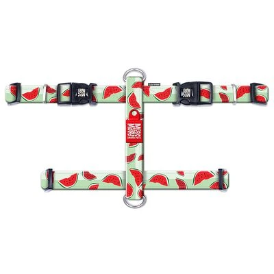Max & Molly Watermelon H-Harness - Image 3