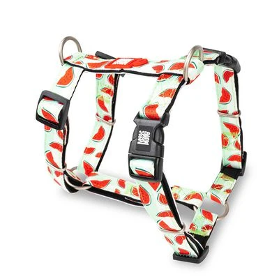 Max & Molly Watermelon H-Harness