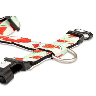 Max & Molly Watermelon H-Harness - Image 5