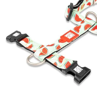 Max & Molly Watermelon H-Harness - Image 4