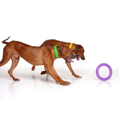 Ferplast Puller Dog Toy 9 Ferplast Puller Dog Toy - Image 7