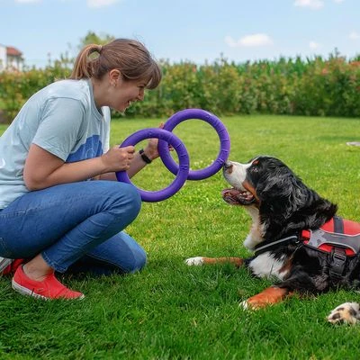 Ferplast Puller Dog Toy 10 Ferplast Puller Dog Toy - Image 8