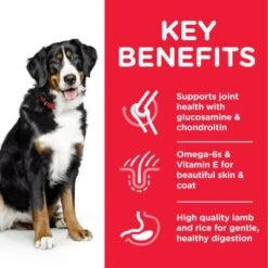 Hill's Science Plan Adult 1-5 Large Breed With Lamb & Rice -Trixie Dog Supply Sale 1 atf8 604373 key benefits 7