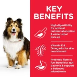 Hill's Science Plan Adult 1+ Sensitive Stomach & Skin Medium With Chicken -Trixie Dog Supply Sale 1 atf8 604385 key benefits 2