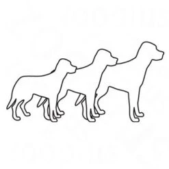 Bozita Robur Performance 33/20 -Trixie Dog Supply Sale 1 robur all 6