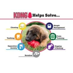 KONG Extreme Black 12 KONG Extreme Black -Trixie Dog Supply Sale 1 solutions eng 3