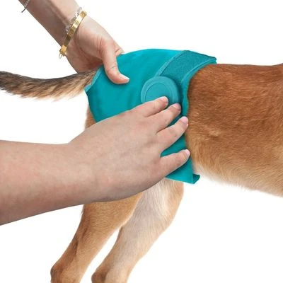 Simple Solution Washable Dog Nappy - Female 5 Simple Solution Washable Dog Nappy - Female - Image 3