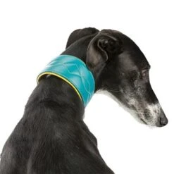 Trixie Active Comfort Collar For Sighthounds -Trixie Dog Supply Sale 200313 202100 200314 200315 trixie active comfort halsband windhunde hs 05 6