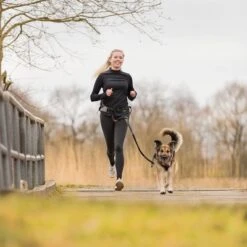 Trixie Jogging Belt With Leash - Grey/ Black -Trixie Dog Supply Sale 203777 trixie jogginggurt leine grauschwarz hs 13 6