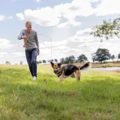 Trixie Bait Trap -Trixie Dog Supply Sale 209093 trixie reizangel hs 08 7