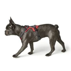 HUNTER Divo Harness – Red/Grey -Trixie Dog Supply Sale 212948 214597 214598 212949 212951 hunter geschirr divo rotgrau hs 05 3