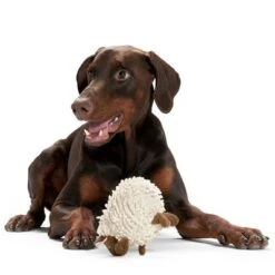 HUNTER Dog Toy Snugly Sheep -Trixie Dog Supply Sale 212982 hunter hundespielzeug snugly schaf hs 03 9