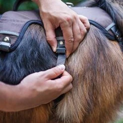 Ferplast Ergotrekking Harness, Brown 13 Ferplast Ergotrekking Harness, Brown -Trixie Dog Supply Sale 224505 224506 224507 ferplast ergotrekking geschirr braun hs 11 2