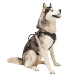 Ferplast Ergotrekking Harness, Brown 15 Ferplast Ergotrekking Harness, Brown -Trixie Dog Supply Sale 224505 224506 224507 ferplast ergotrekking geschirr braun hs 12 2