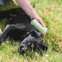 Pet Teezer Puppy Brush -Trixie Dog Supply Sale 230724 pet teezer welpenbuerste hs 19 6