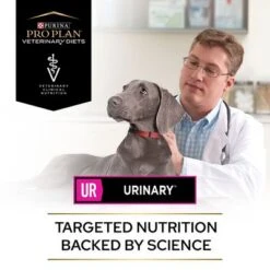 Purina Pro Plan Veterinary Diets Canine UR Urinary -Trixie Dog Supply Sale 235226 purina proplan veterinary diets urinary hs 02 4 7