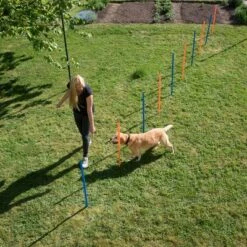 Agility Fun & Sport Slalom Set -Trixie Dog Supply Sale 23798 agility fun sport slalom set fg 10 8